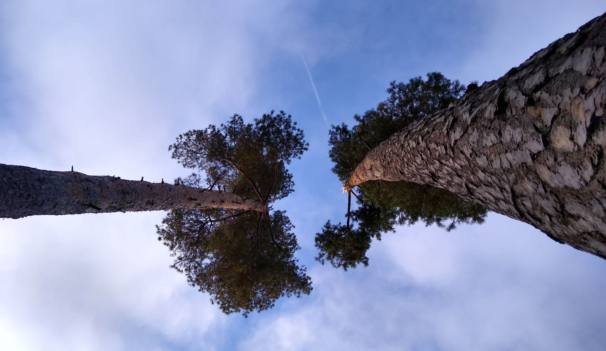 Roads as rivers, roads as wind