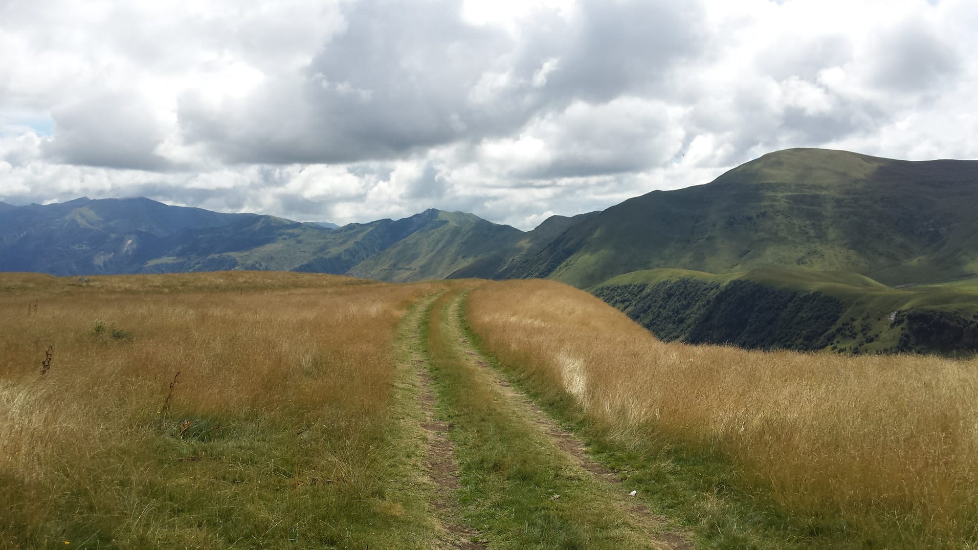 Journeys without maps: on paths and signs