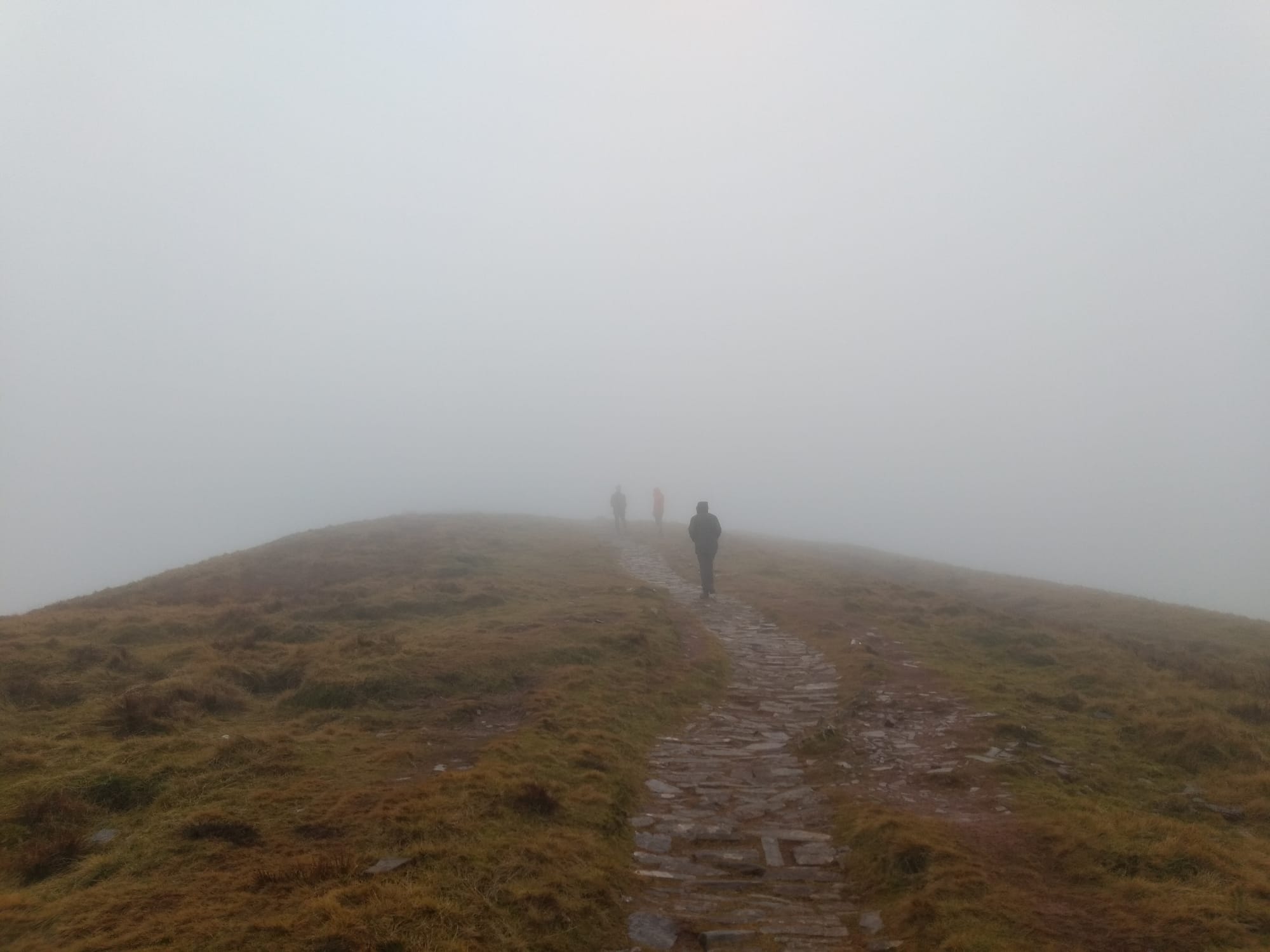 Journeys without maps: on paths and signs