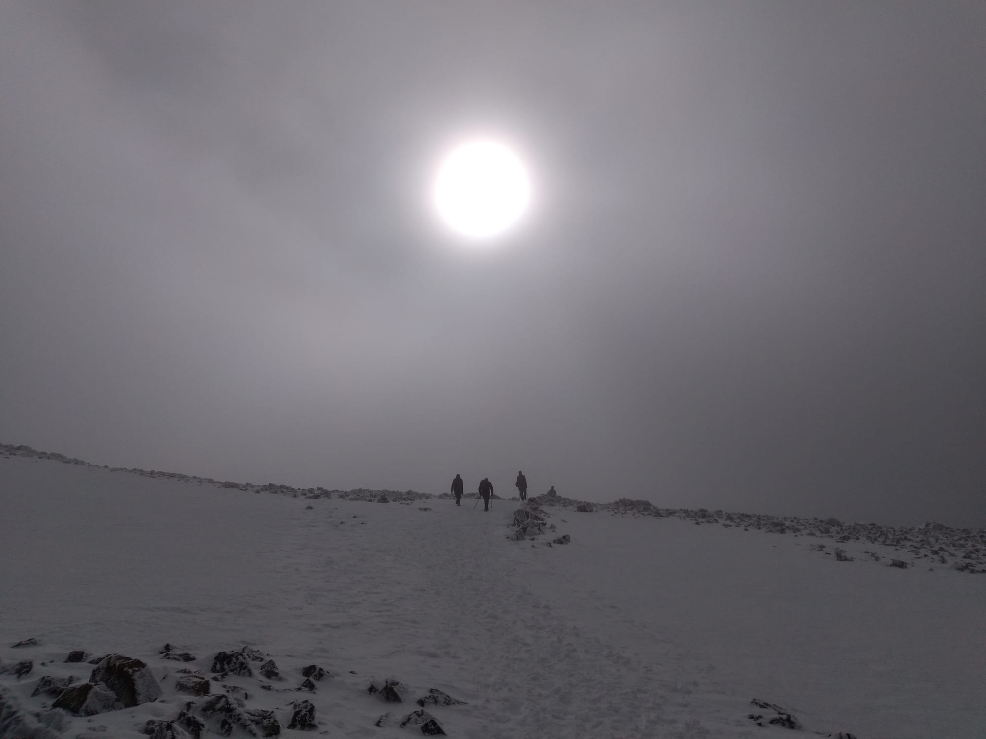 Journeys without maps: on paths and signs