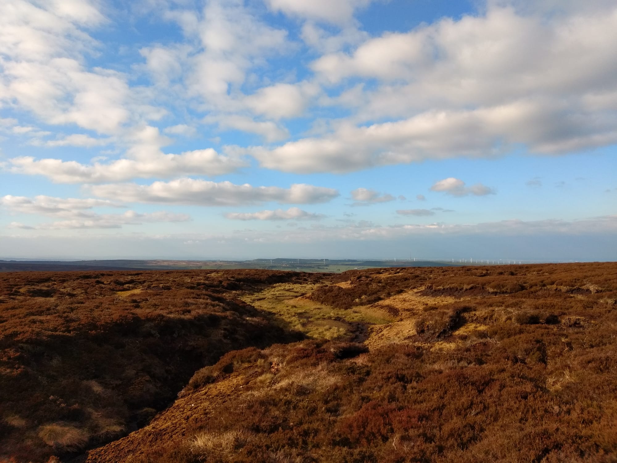 Journeys without maps: on paths and signs