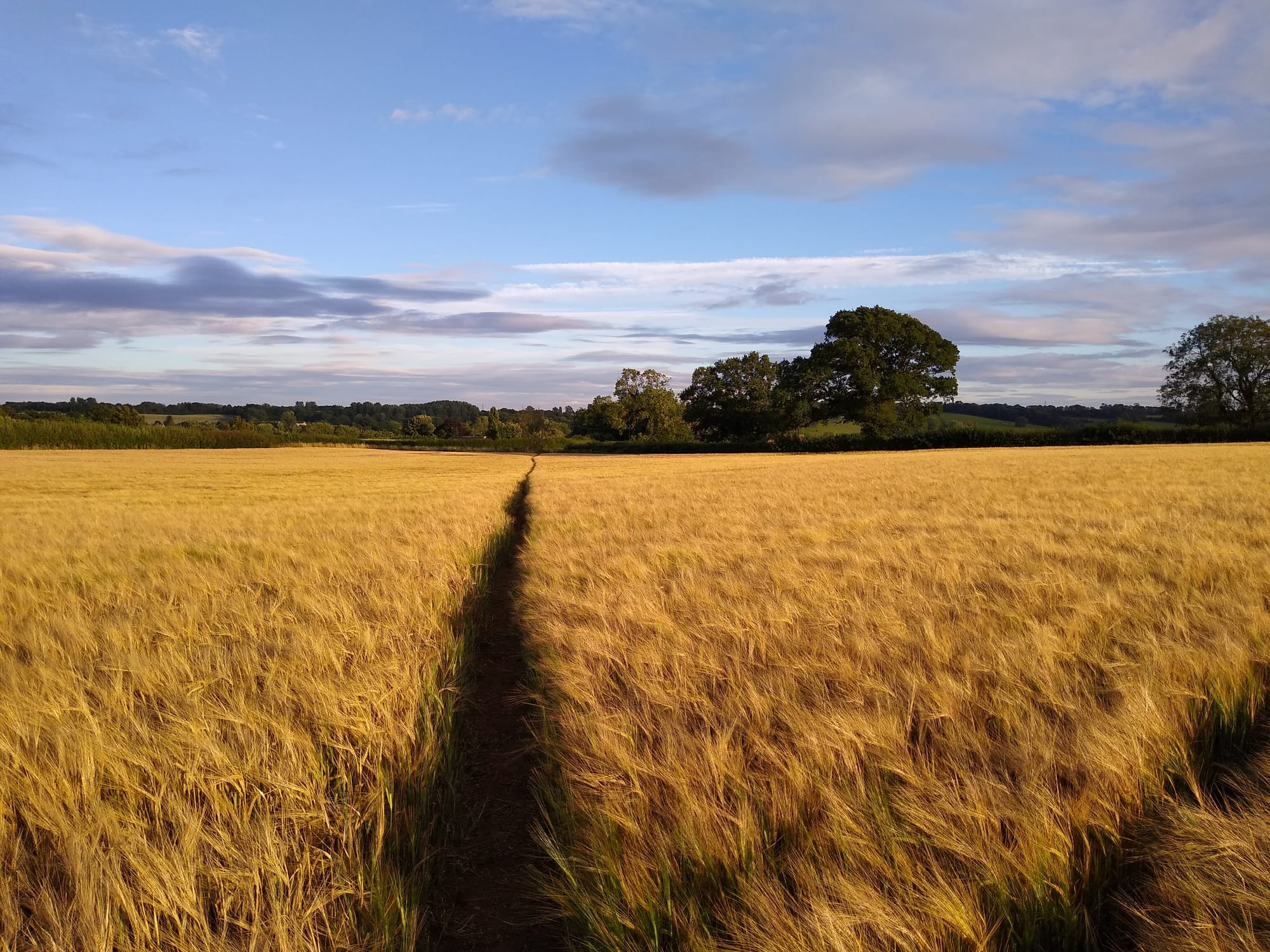 Journeys without maps: on paths and signs