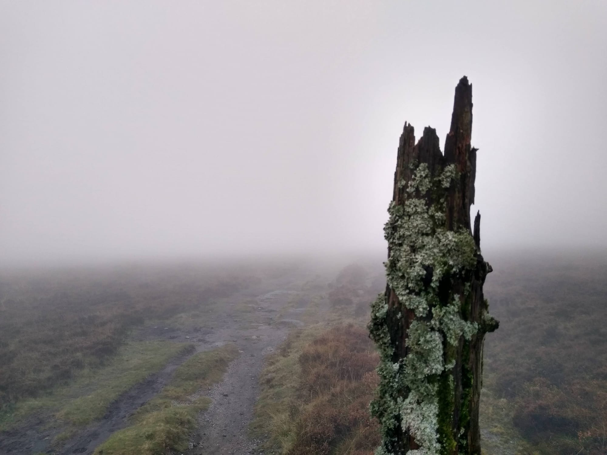 Journeys without maps: on paths and signs