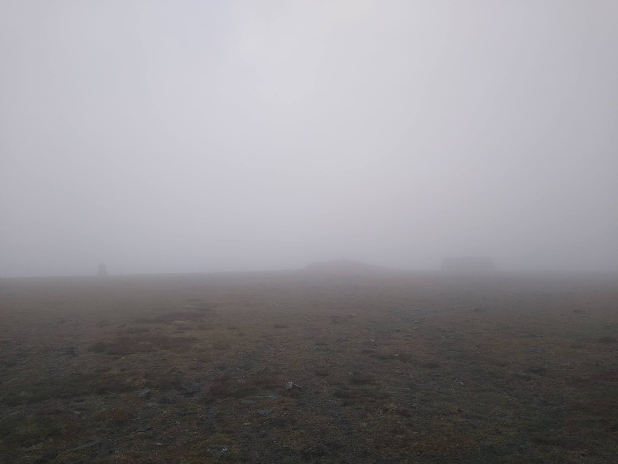 Journeys without maps: on paths and signs