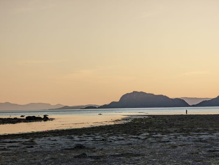 Wanderlust and the quest for immortality: the travels of Gilgamesh